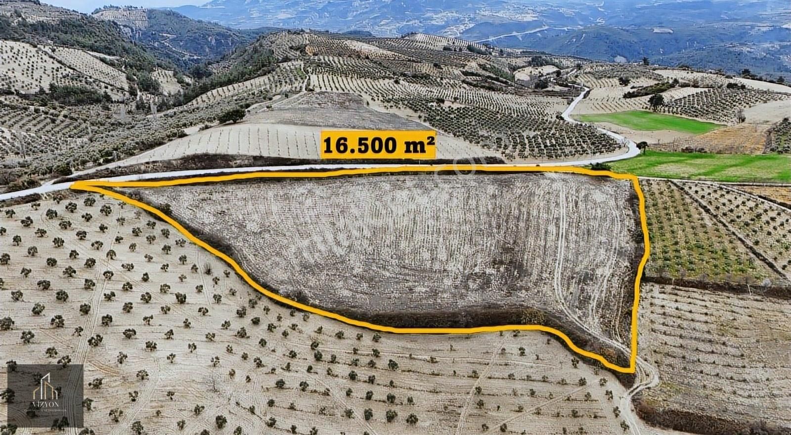 Vizyon Gayrimenkul'den Altınözü Kılıçtutan'da 16.5 Dönüm Tarla