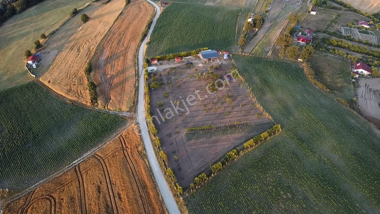 Lir Den Tekirdağ Saray Küçükyoncalı'da7260 M2 Yatırımlık Bahçe