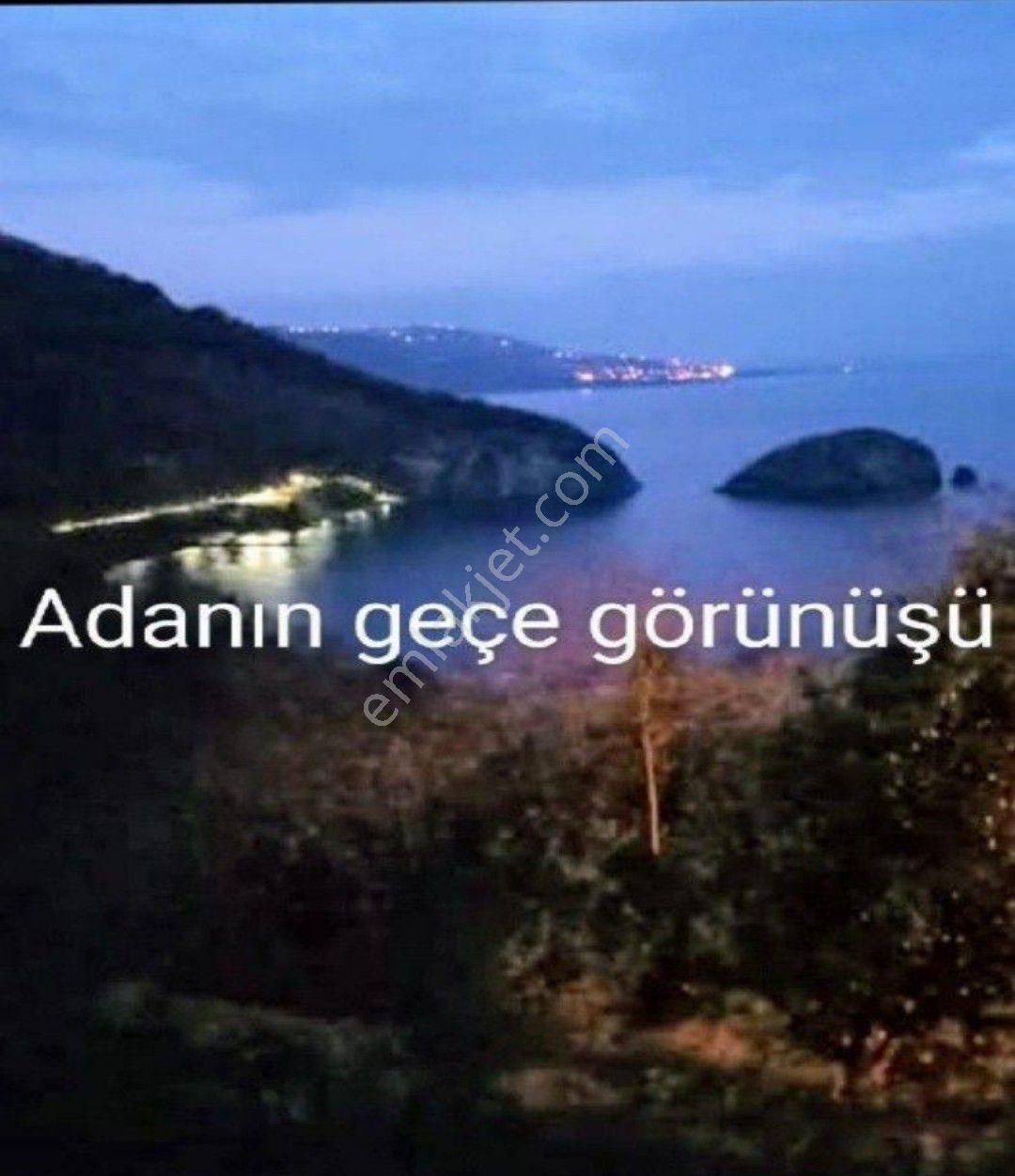 Perşembe Ramazan Mahallesinde 2600m2 İmarlı Bahçe. - Görsel 4