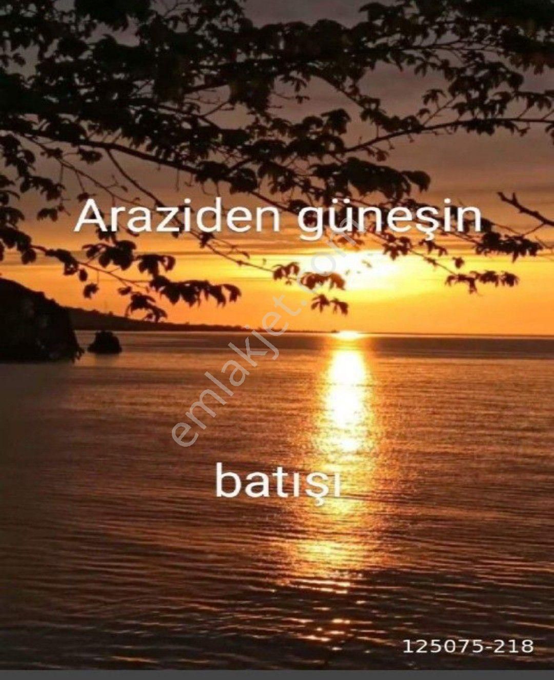 Perşembe Ramazan Mahallesinde 2600m2 İmarlı Bahçe. - Görsel 5