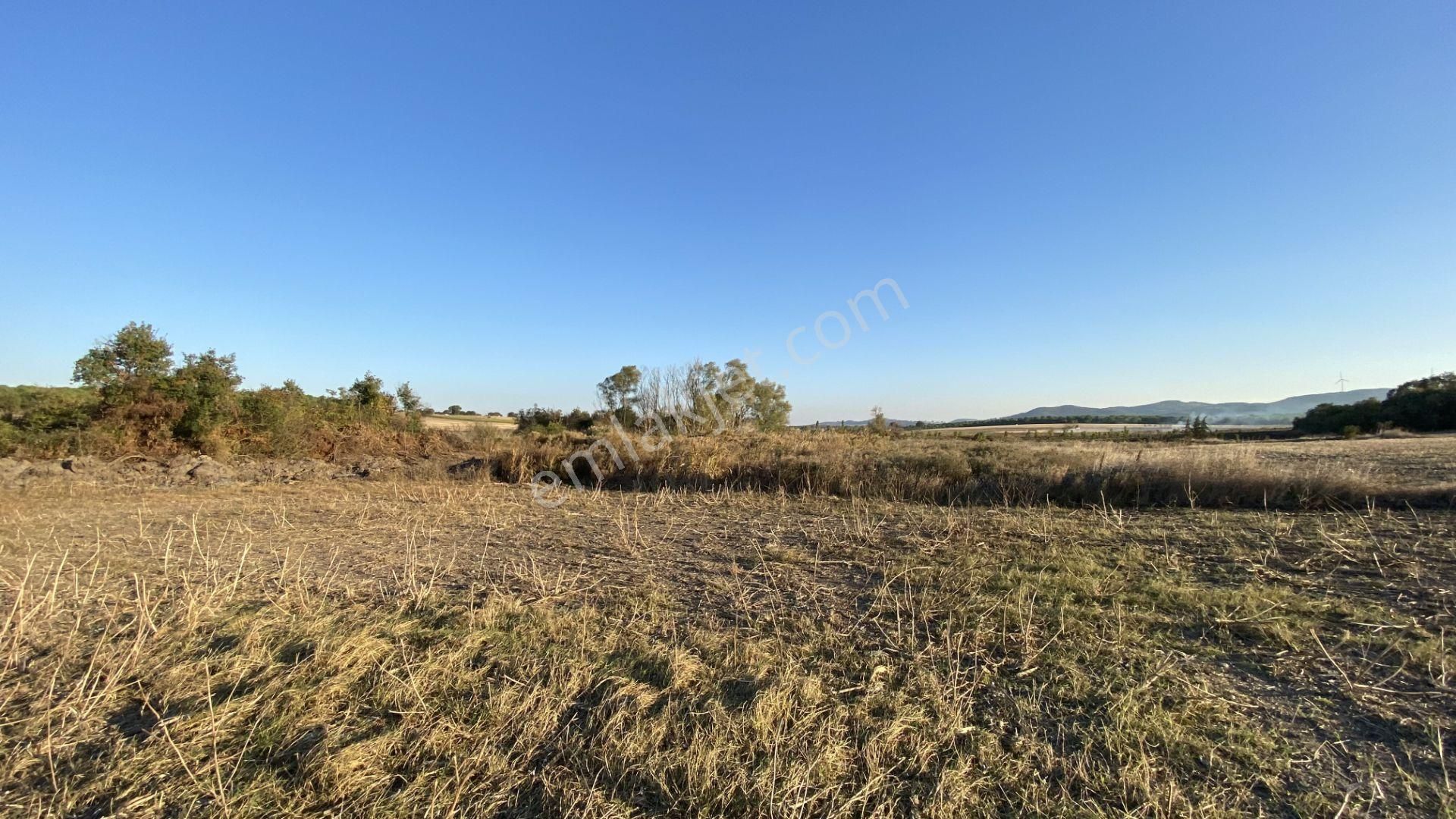 Resmi Kadastral Yolu Ve Pompaj Sulama Sistemi Olan 2.890 M2 Satılık Tarla