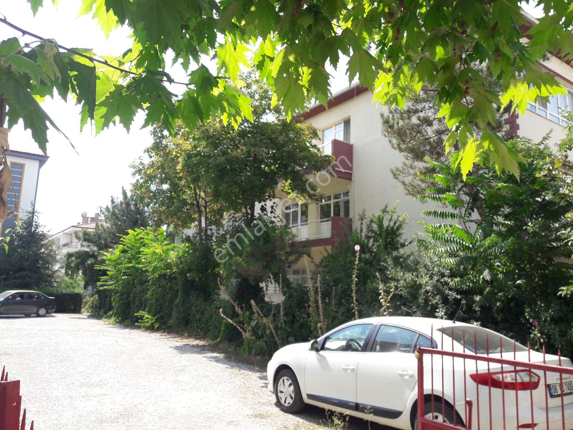 2+1, Güney Cephe, Katta, Site İçi Daire