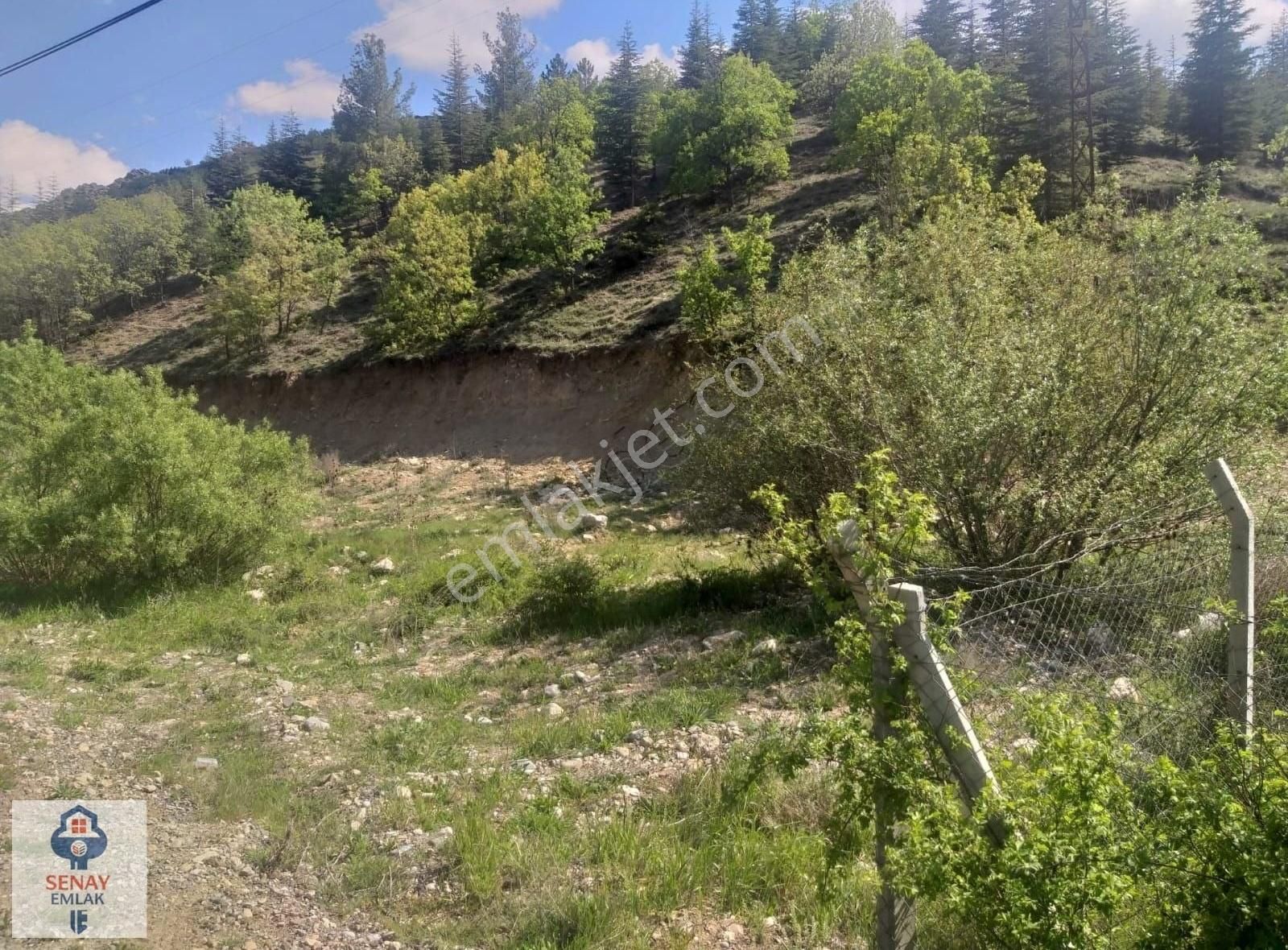 Acil!!! Kelepir Fiyata 1.132 Metre Tek Tapu Asfalt Yol Kenarında