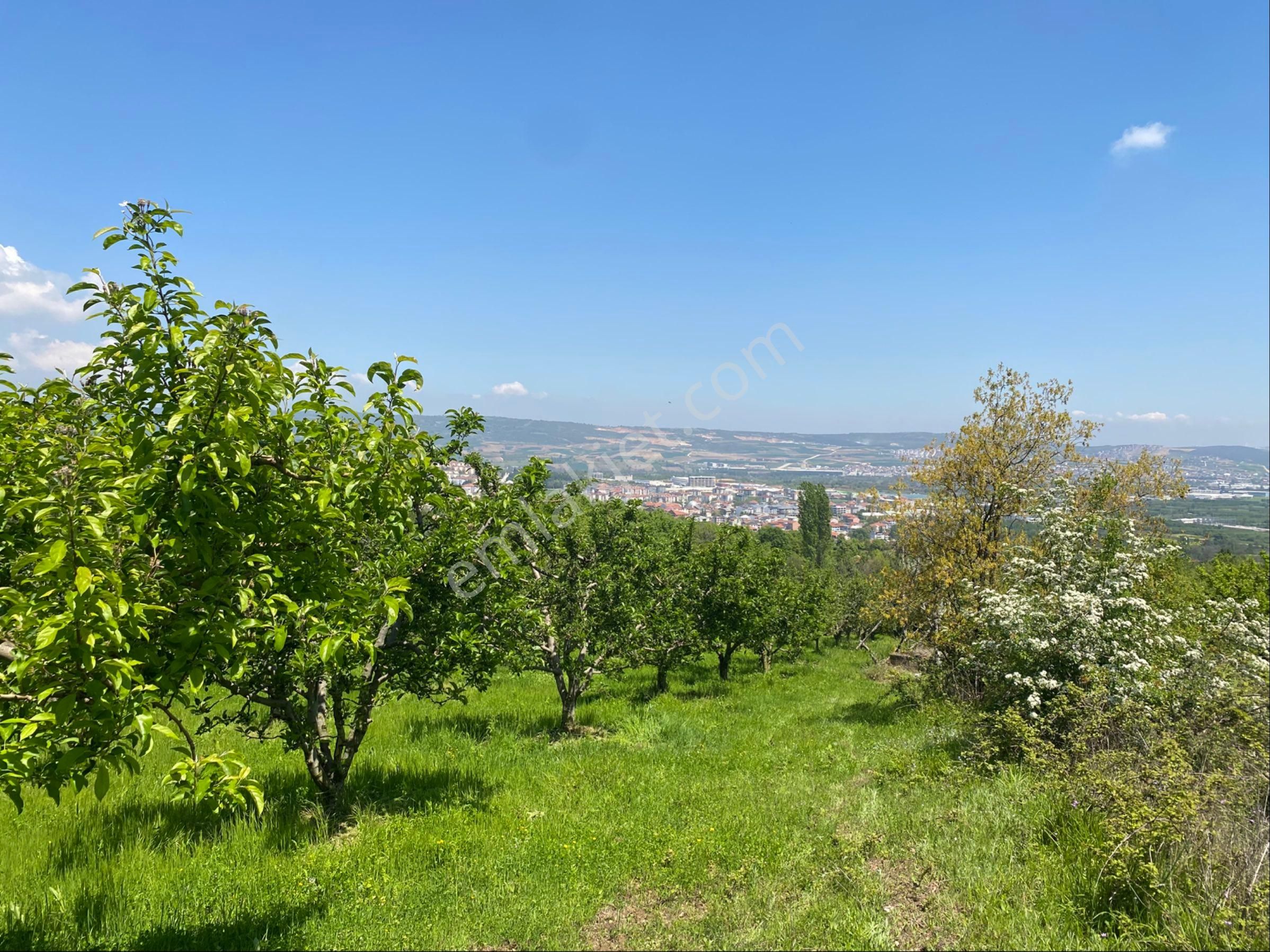 Roma ‘dan Yeniceköy ‘mh De İki Adet Satılık Tarla - Görsel 15