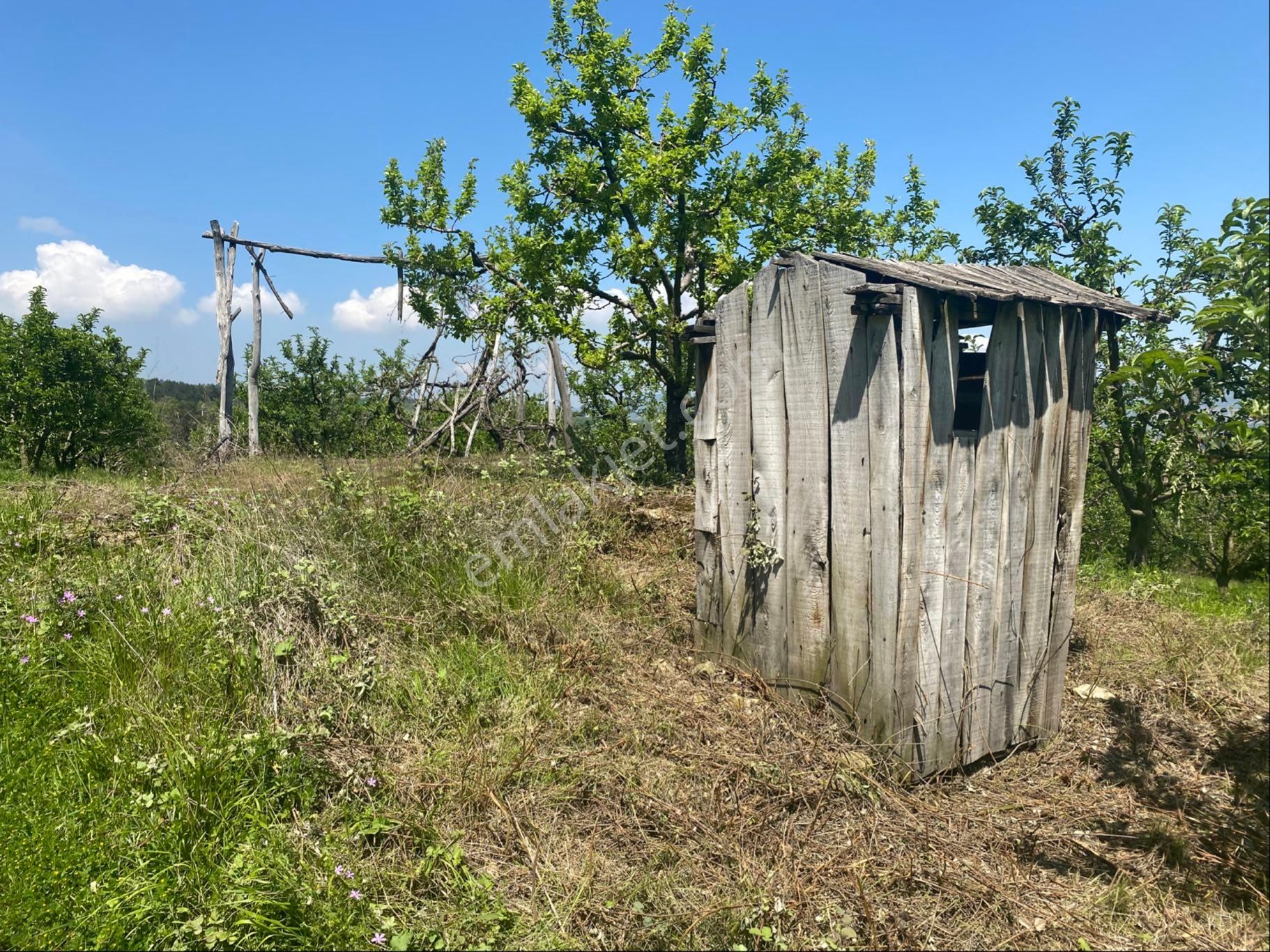 Roma ‘dan Yeniceköy ‘mh De İki Adet Satılık Tarla - Görsel 18