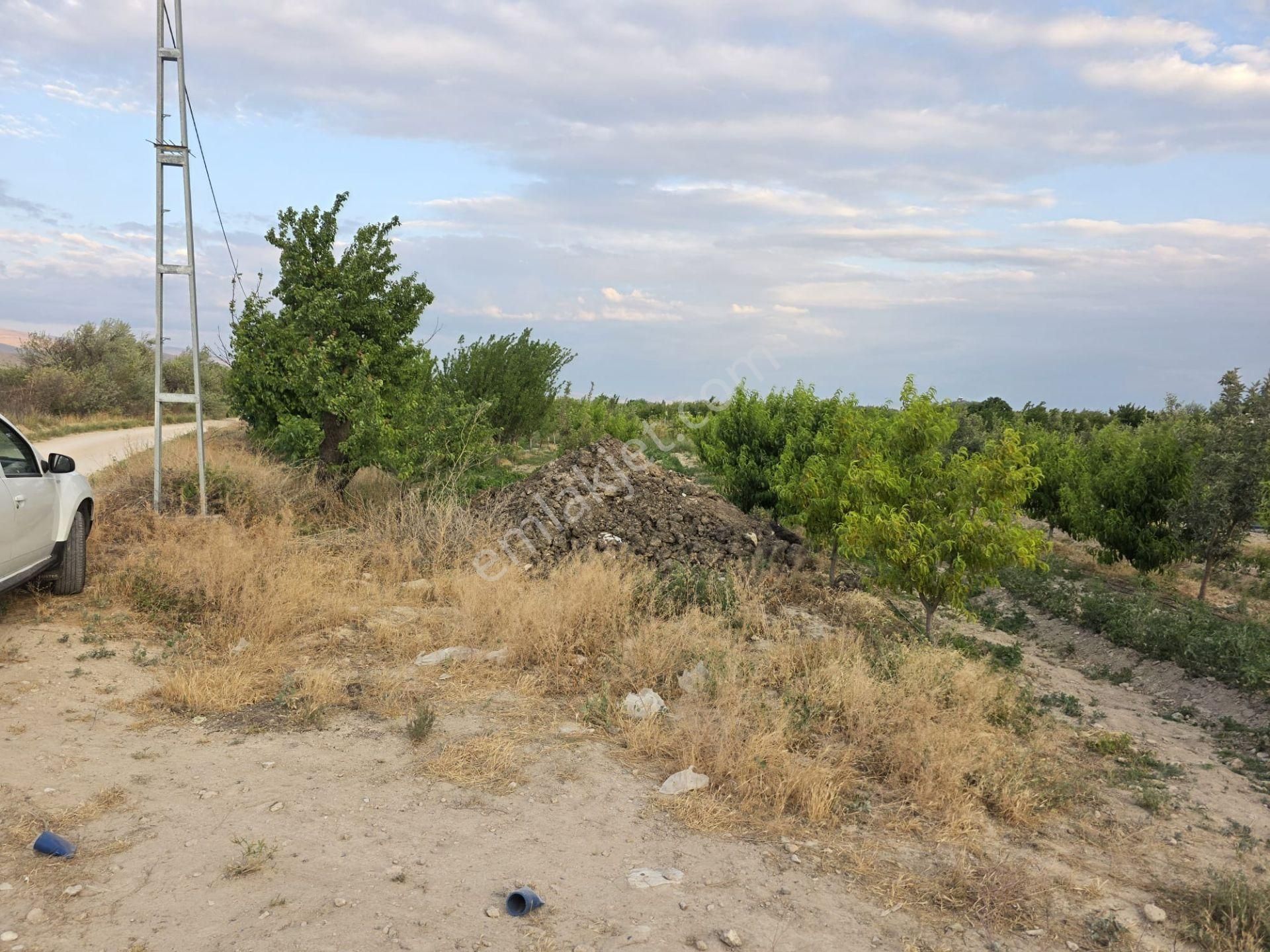 Cm Emlaktan Sazlıca Yukarı Mahalle 4255 M2 Satılık Bahçe