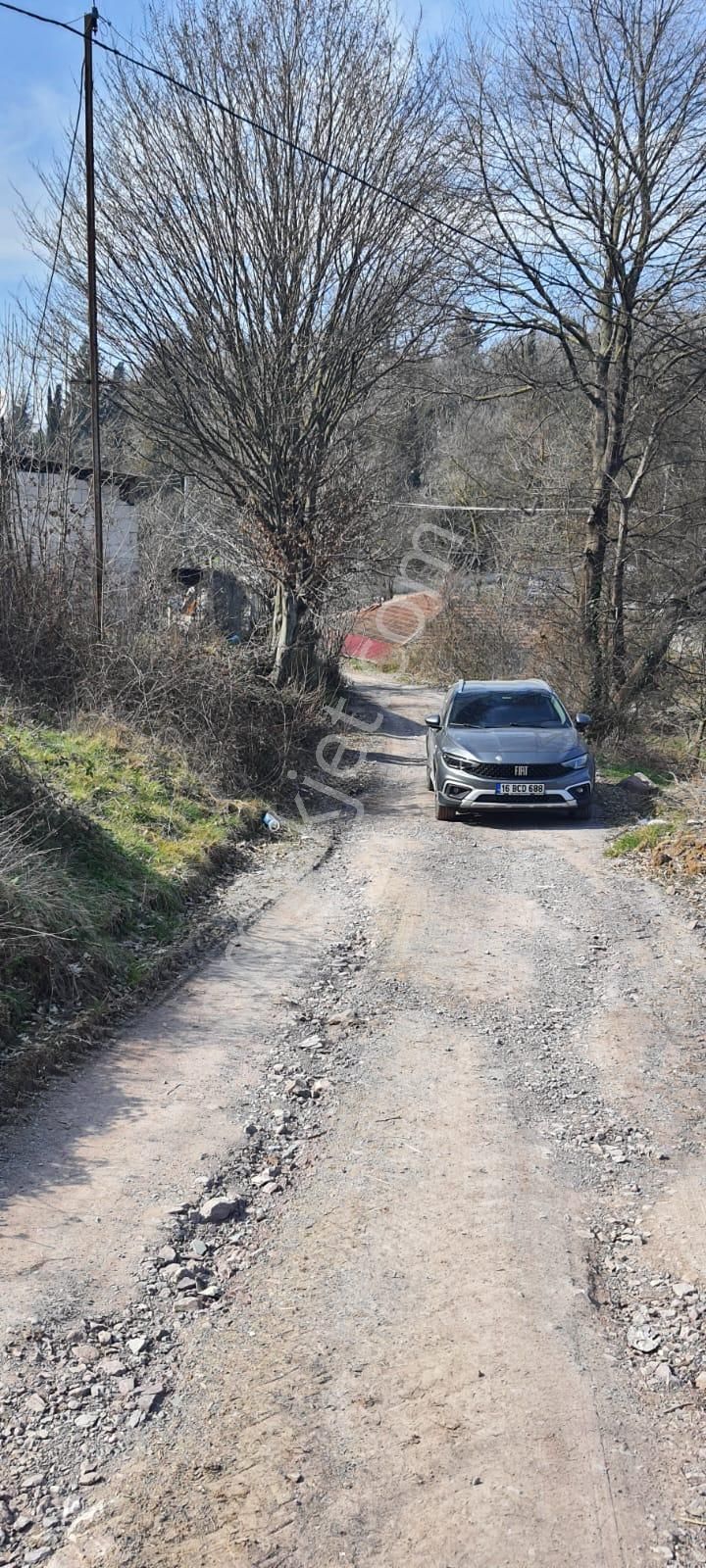 Yalova Çiftlikköy İlyasköyde Harika Biryer