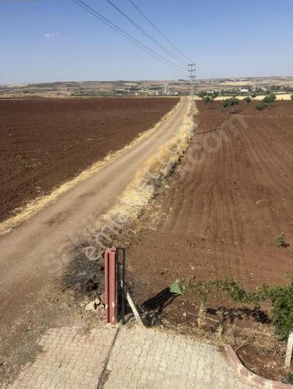 Kazıklı Köyünde Satılık Bağevi Ve Arazisi, Yola Sıfır