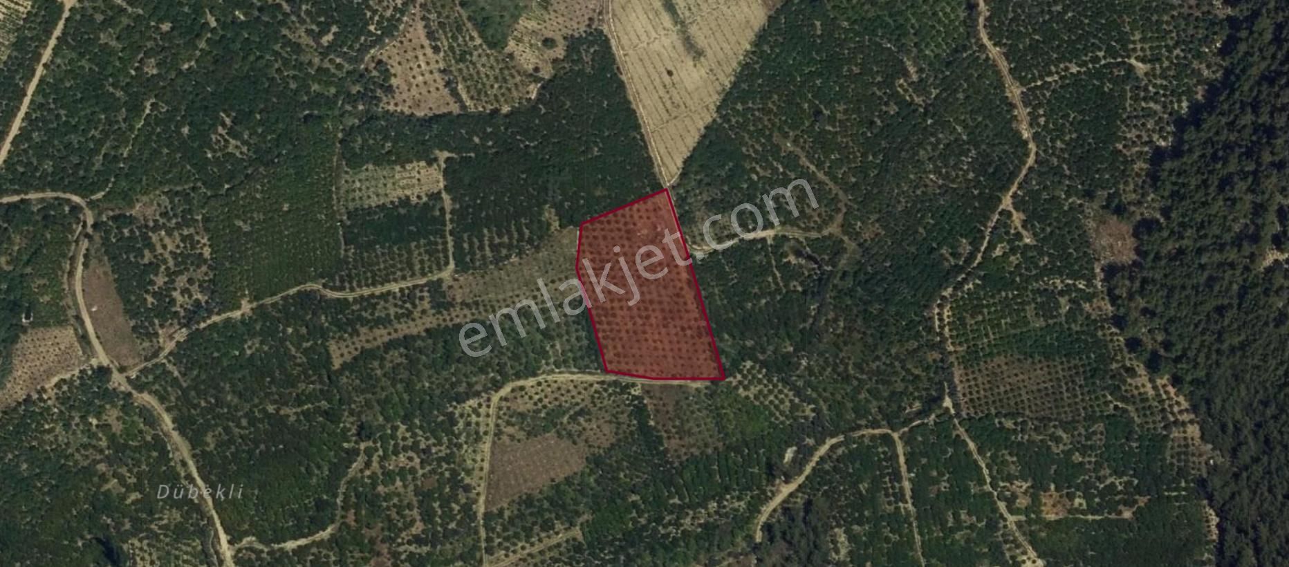 Zümrüt'ten Yenişehir Karahacılı'da Satılık 5780 M2 Bahçe