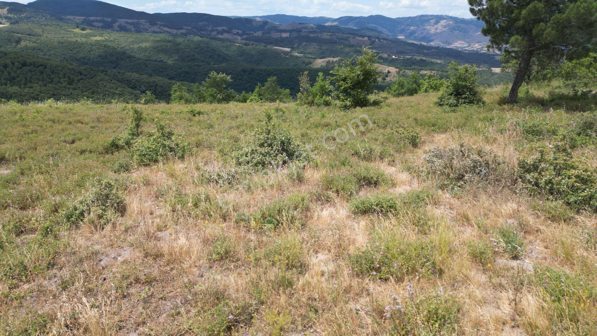 Kocaeli Karamürsel Fulacık Satılık %5 İmarlı 2.761 M2 Tarla - Görsel 10