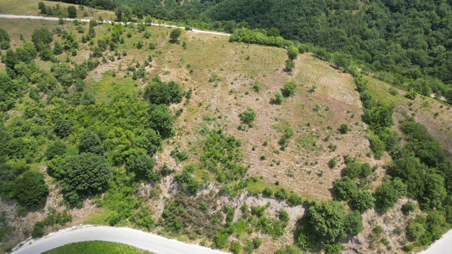Kocaeli Karamürsel Fulacık Satılık %5 İmarlı 2.761 M2 Tarla - Görsel 5
