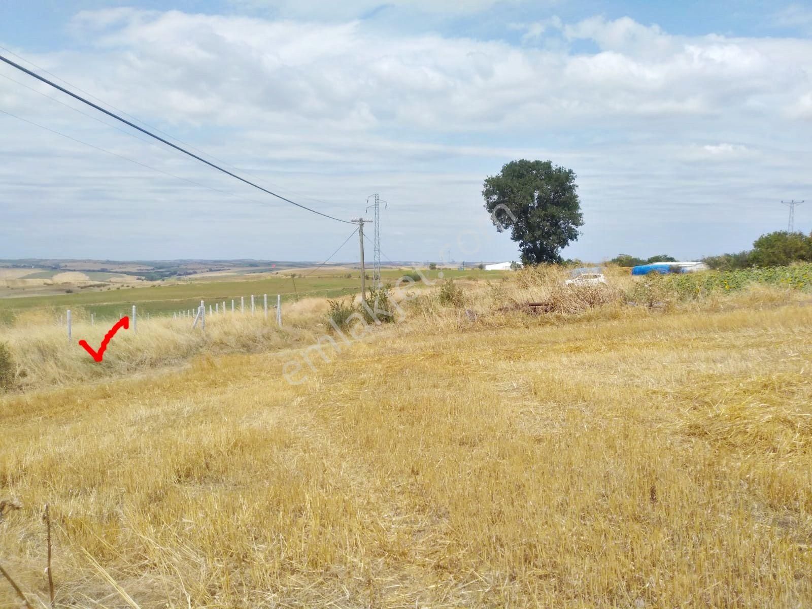 Hayrabolu Tatarlı Mah. İmarlı Arsa 1500m ²