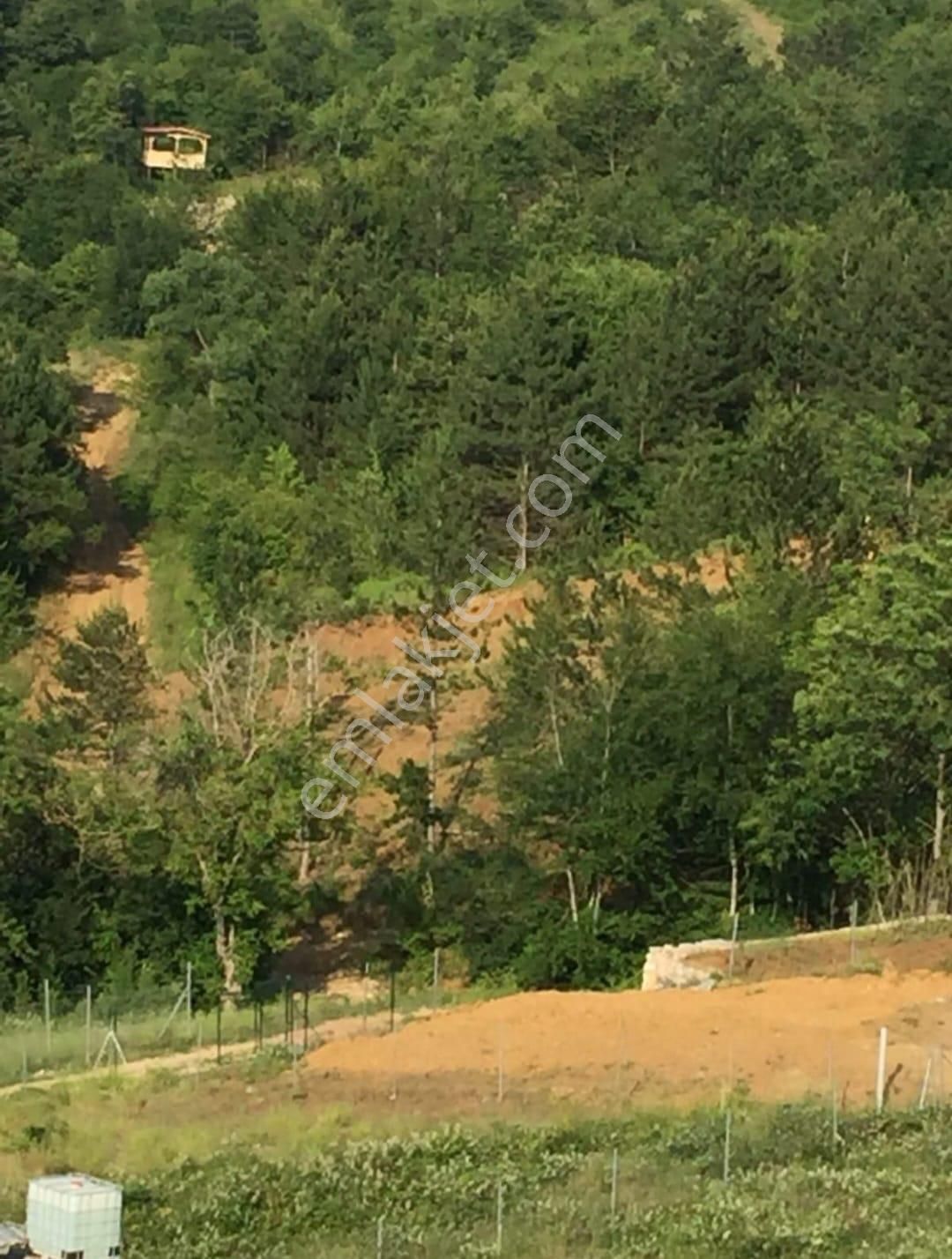 Kestel Gözede De Fırsat Satılık Arazi