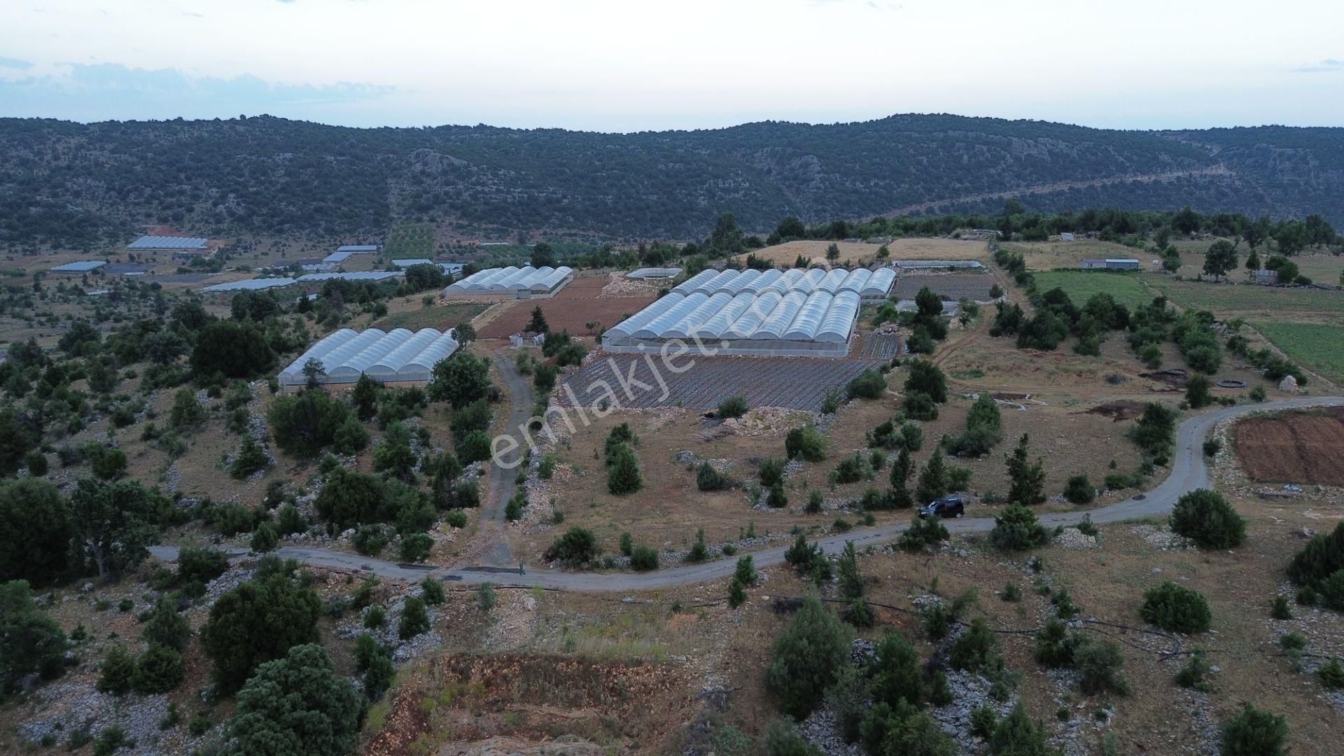 2 Adet Villalık Arsa Acil Fiyat Düştü - Görsel 20