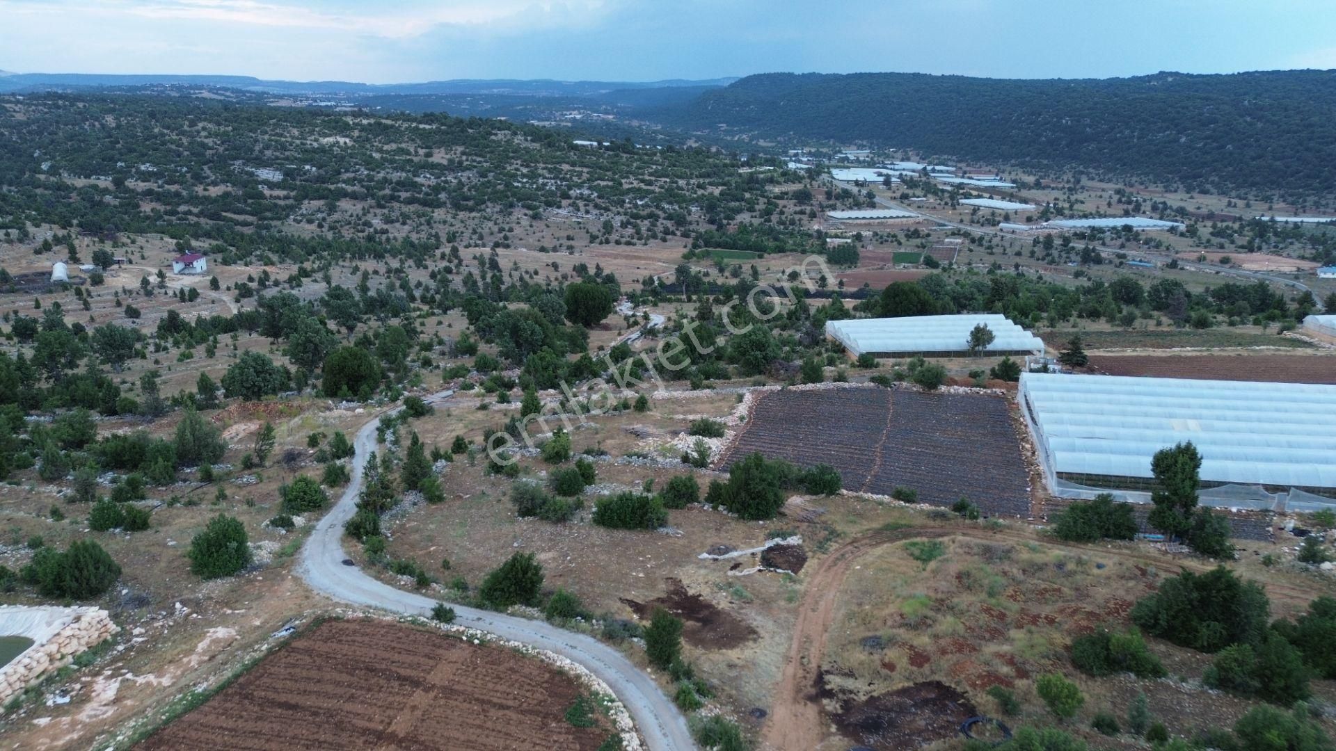 2 Adet Villalık Arsa Acil Fiyat Düştü - Görsel 23