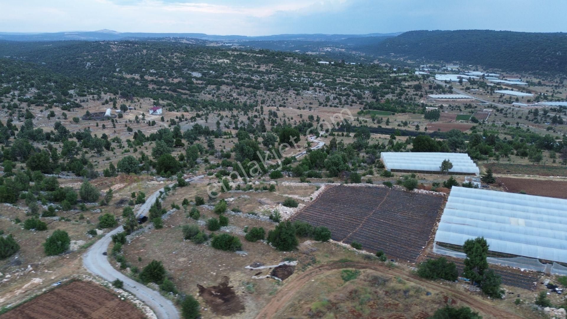 2 Adet Villalık Arsa Acil Fiyat Düştü - Görsel 21