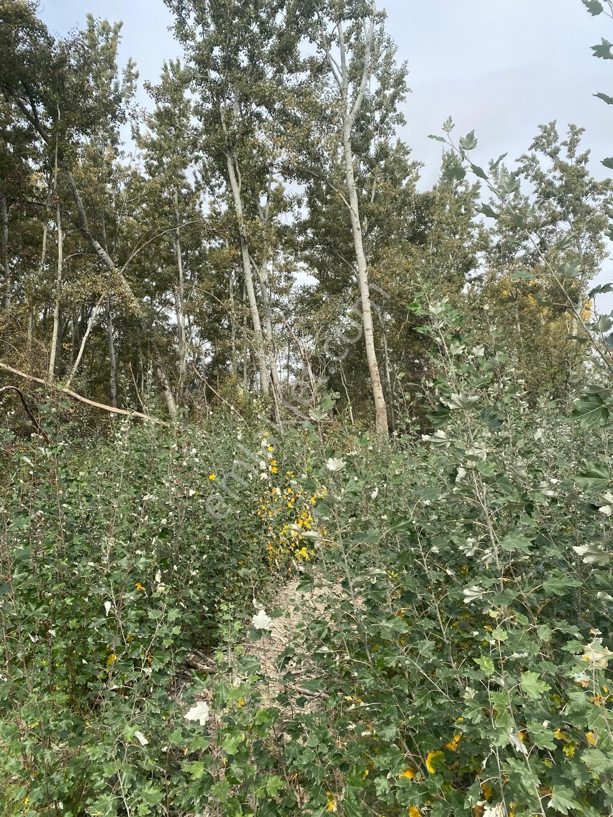 Satılık Hobi Bahçesi