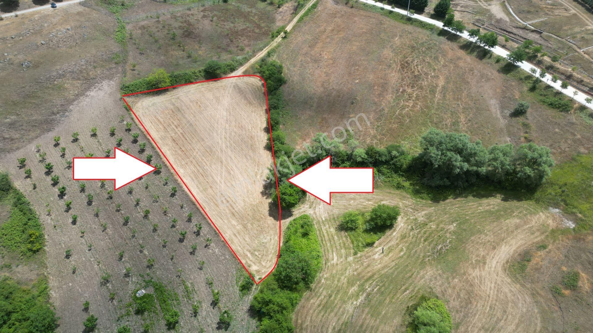 Kocaeli Karamürsel Fulacık Satlık %5 İmarlı 3804 M2 Tarla