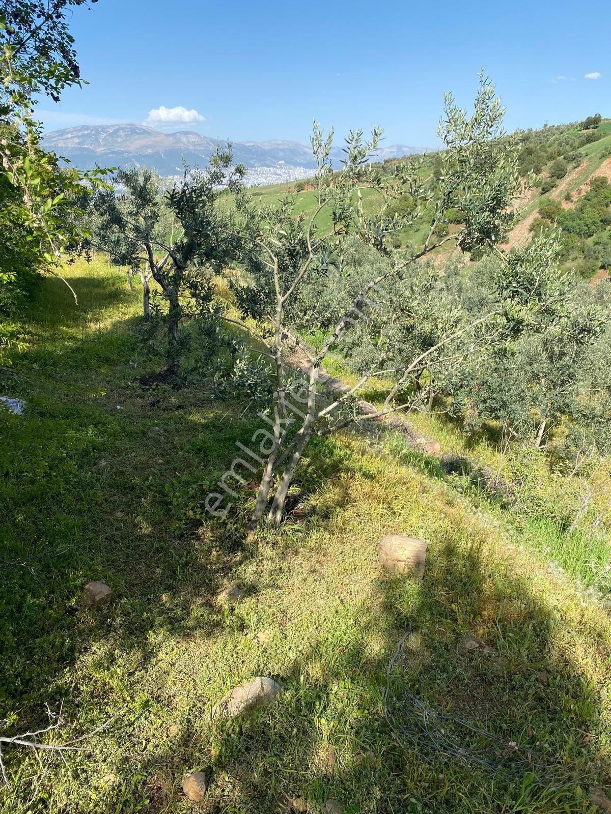 Acil Satılık Fatmalı Mahallesi'nde