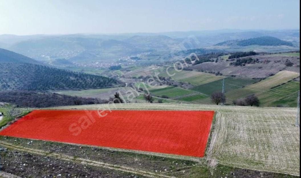 Yatırımlık. Organizeye Yakin . Sahibinden.
