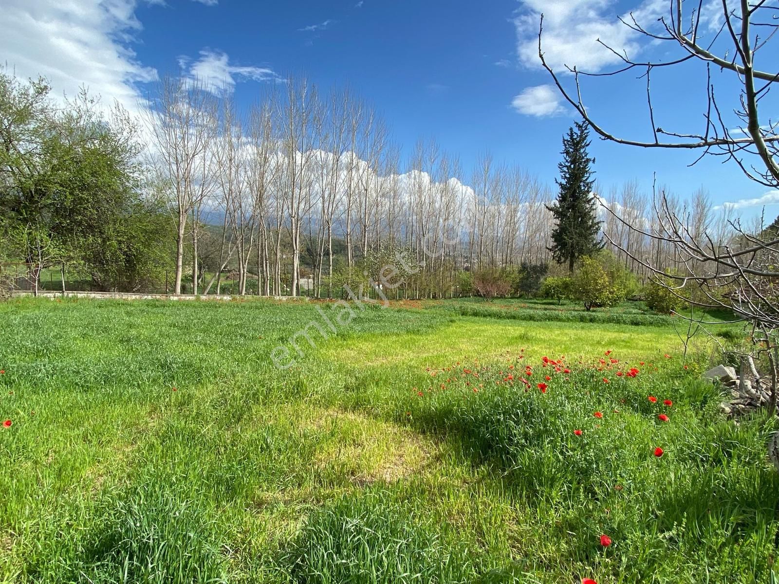Fethiye Gayrimenkulden Satılık Seydikemer Seydilerde 530 M2 Köye Yerleşik Alan İçerisinde