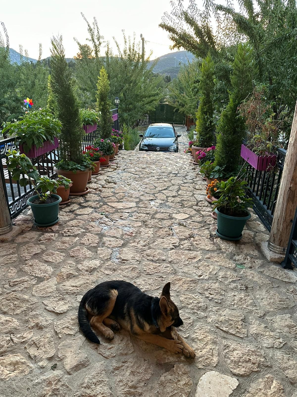 Kaş Kalkan Çiftlik Villa - Görsel 21
