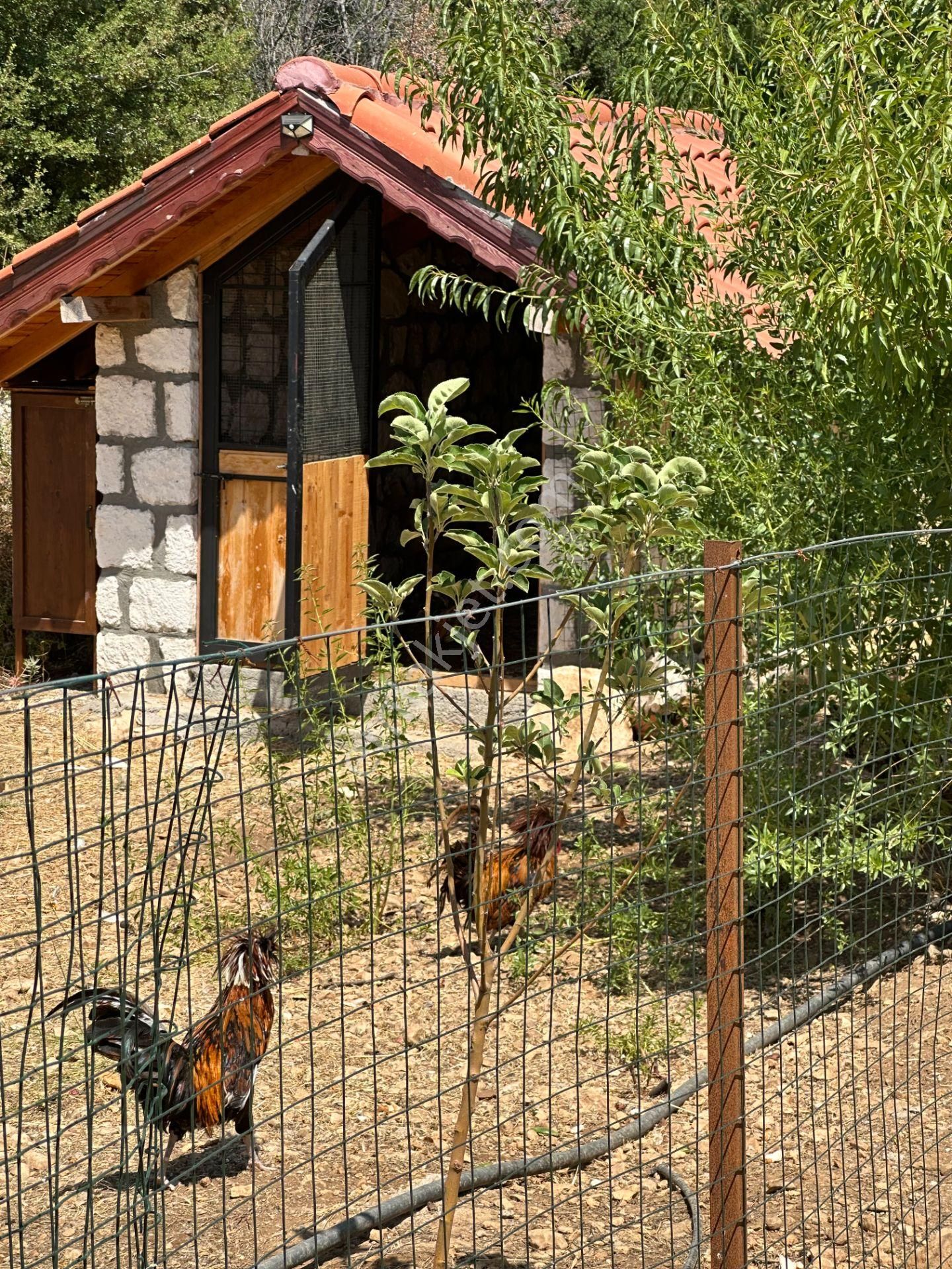Kaş Kalkan Çiftlik Villa - Görsel 32