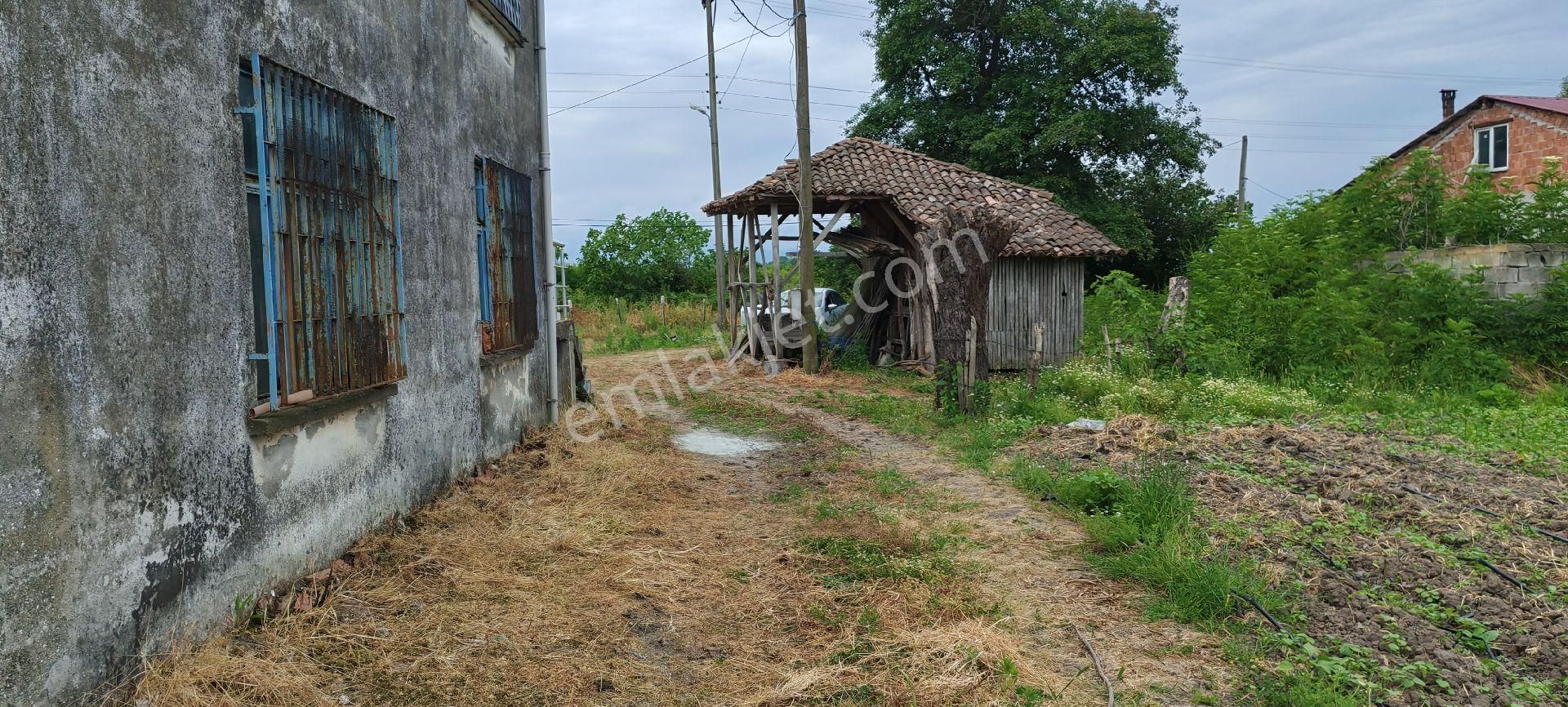 Samsun Çarşamba Caltı Köyünde İki Katlı Ev Ve Fındık Bahcesı Satılıkdır - Görsel 12