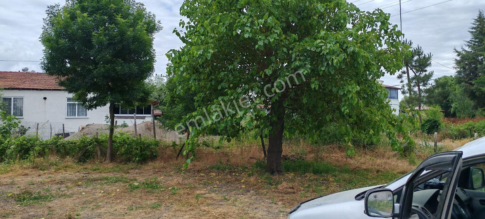 Samsun Çarşamba Caltı Köyünde İki Katlı Ev Ve Fındık Bahcesı Satılıkdır - Görsel 15