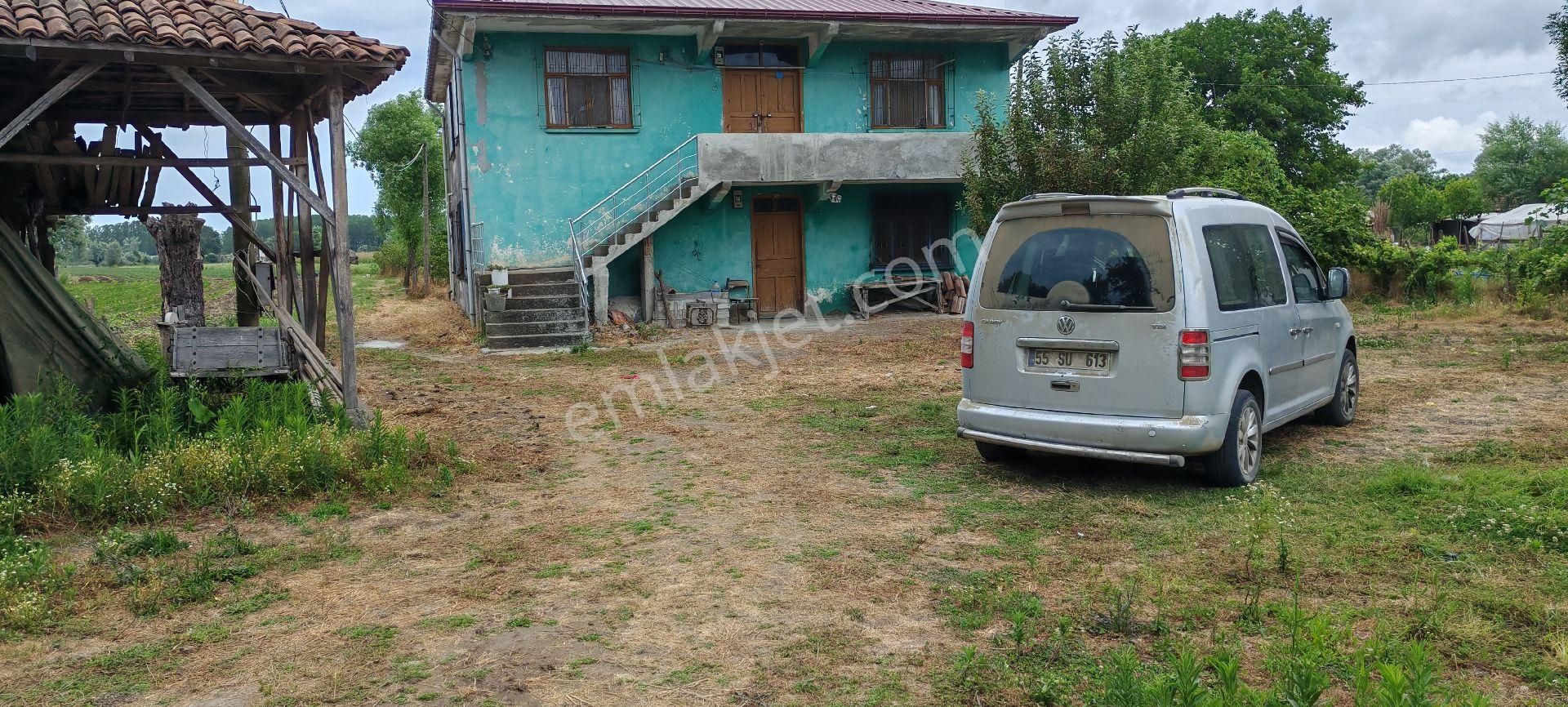 Samsun Çarşamba Caltı Köyünde İki Katlı Ev Ve Fındık Bahcesı Satılıkdır - Görsel 13