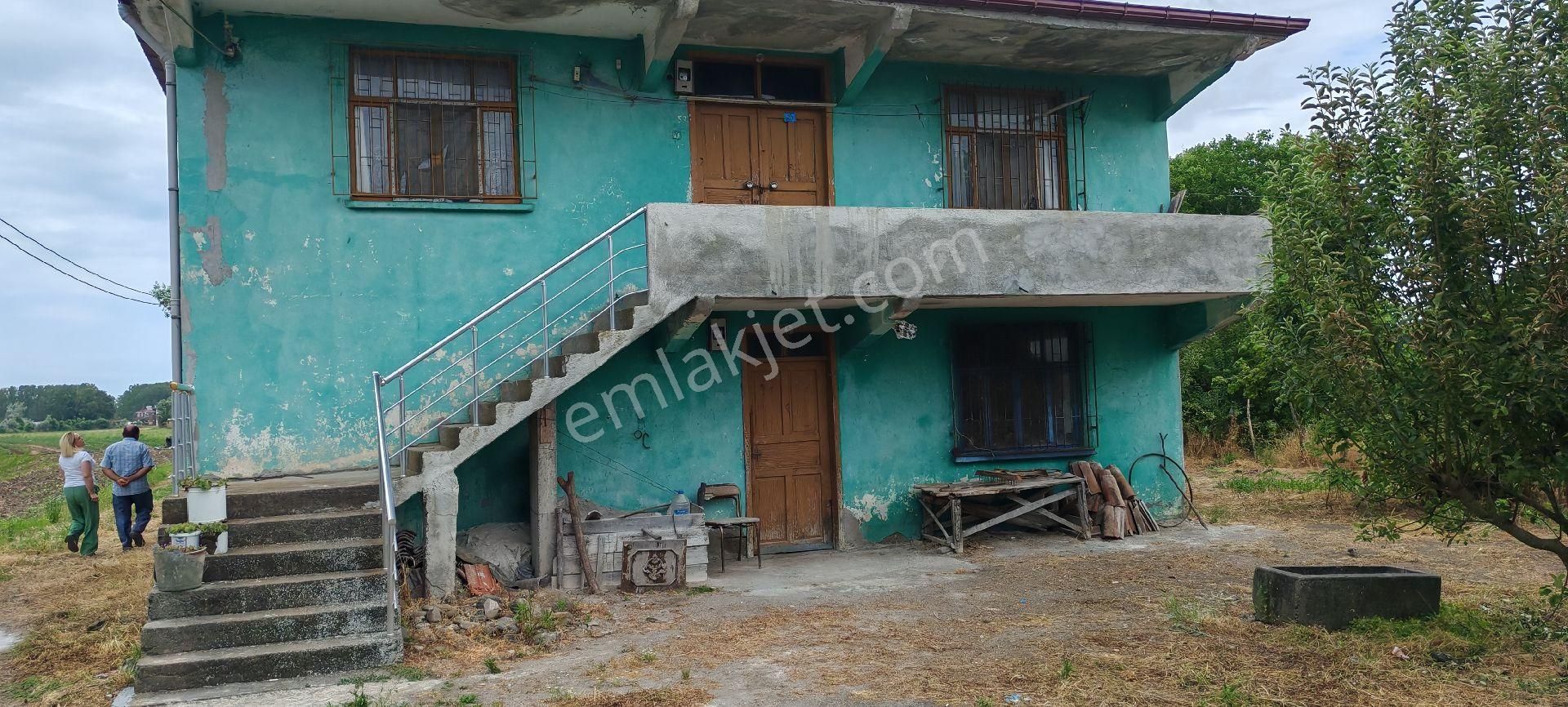 Samsun Çarşamba Caltı Köyünde İki Katlı Ev Ve Fındık Bahcesı Satılıkdır - Görsel 4