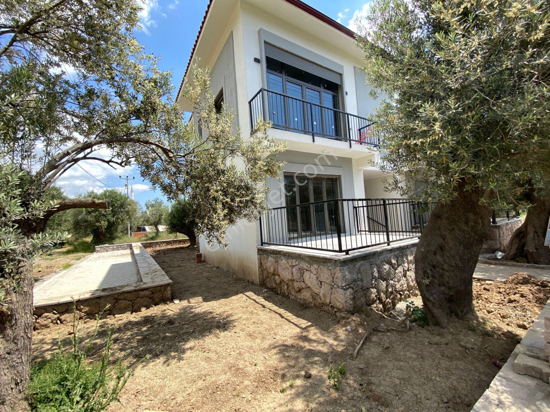 Afissia Gayrimenkul-küçükkuyuda Denize 300m 1+1 Modern Daireler