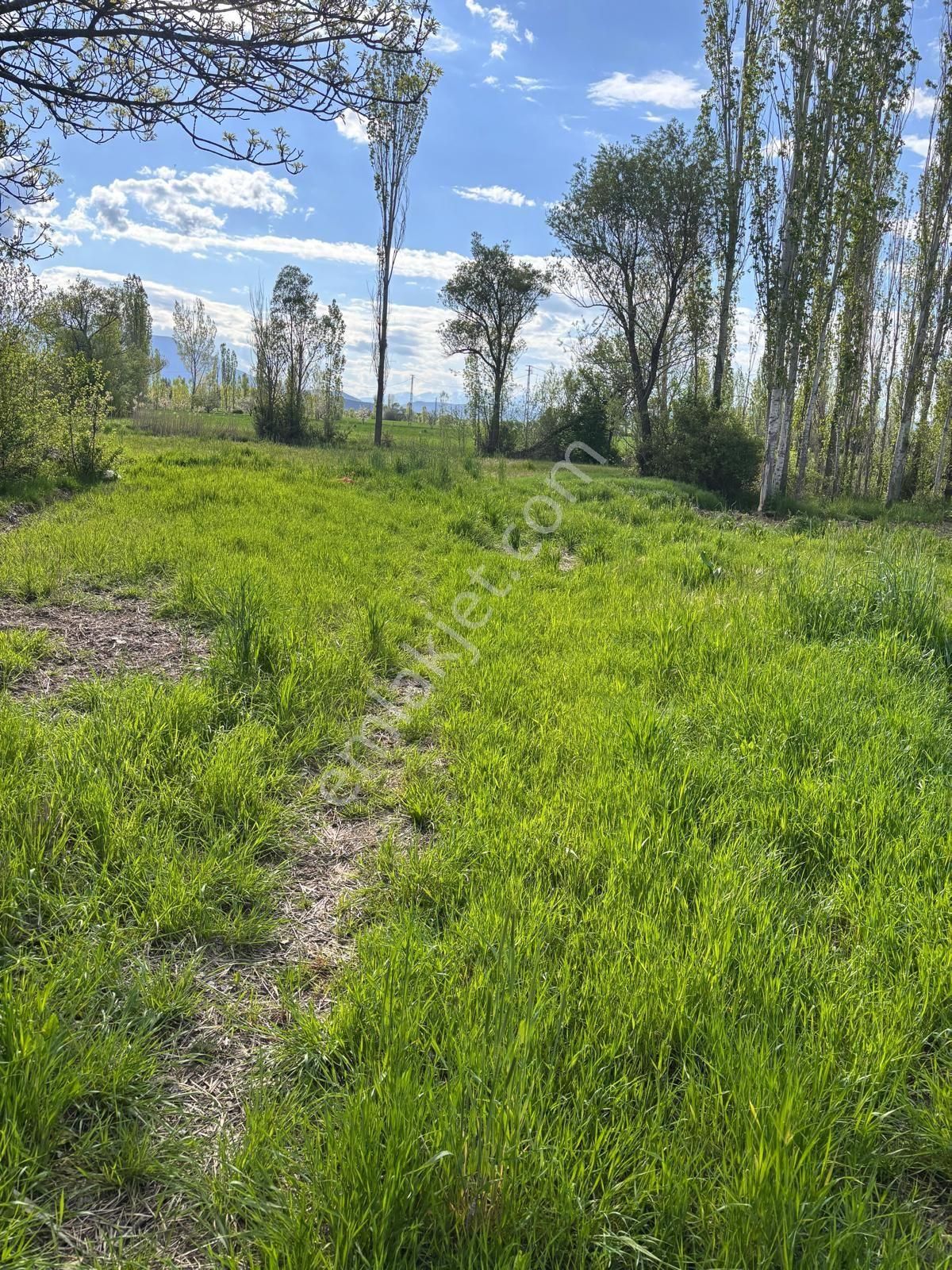 Konya Seydişehir Akcalar Mahallesinde Satılık Müstakil Ev - Görsel 3
