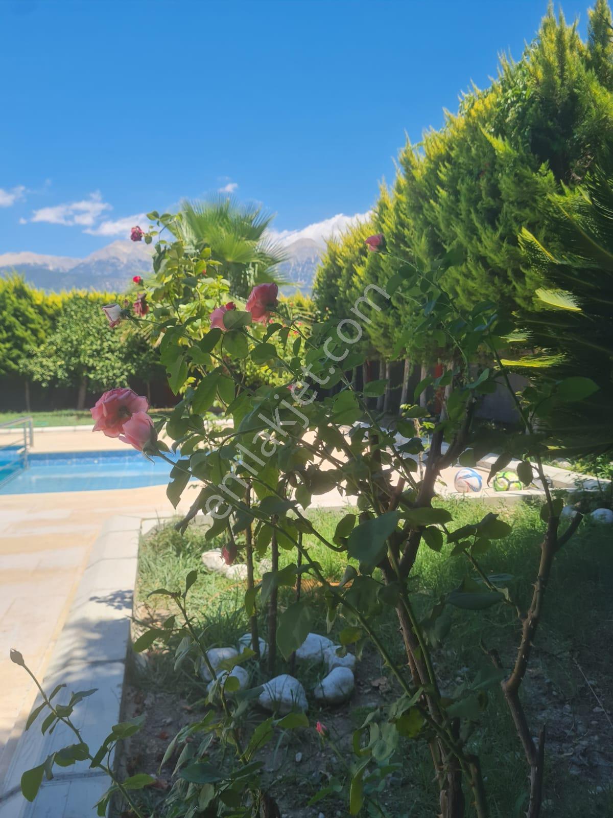 Goldhouse Dan Satılık Villa Seydikemer De 4+1 Fırsat - Görsel 7