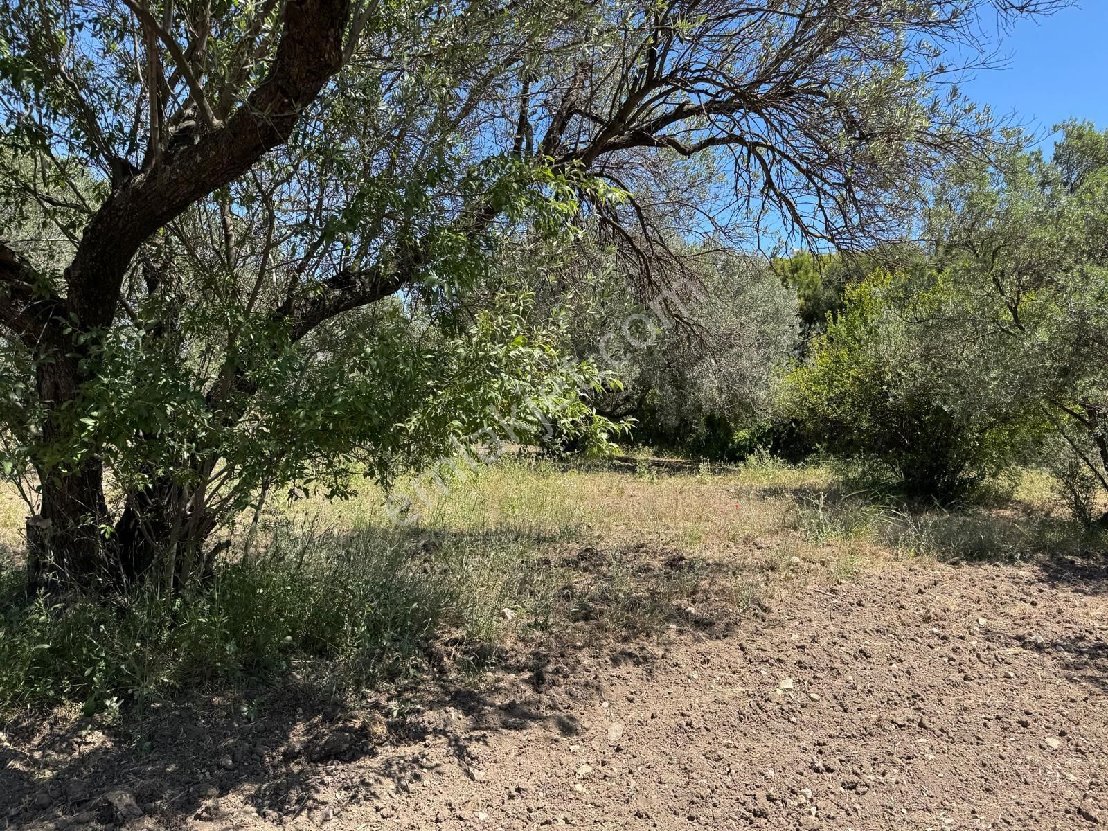 Çanakkale Yoluna Cepheli Yatırımlık Arazi - Görsel 5