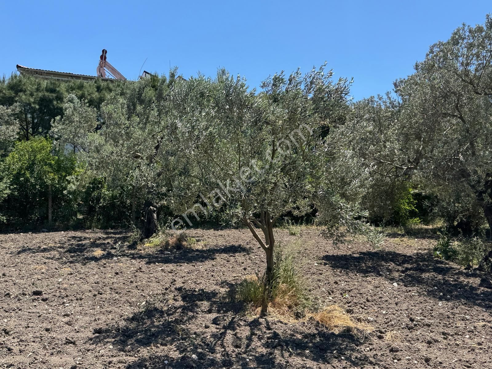 Çanakkale Yoluna Cepheli Yatırımlık Arazi - Görsel 2