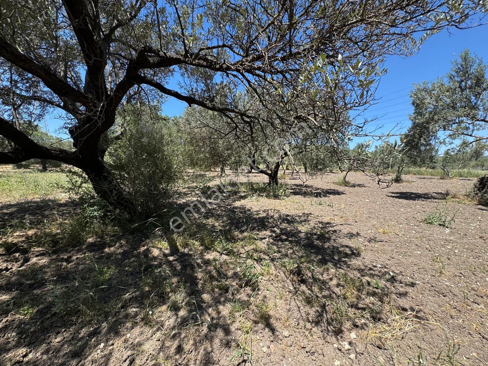 Çanakkale Yoluna Cepheli Yatırımlık Arazi - Görsel 3