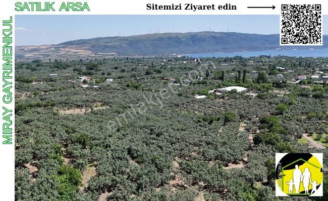 Mıray Gayrımenkul-satılık Arsa (zeytinlik)- Balıkesır - Erdek - Düzler-belkıs Mah.