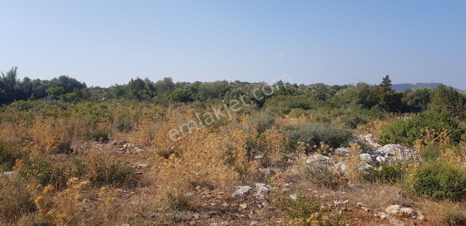 Didim Uygun Fiyatlı Satılık Villa Arsası - Görsel 8