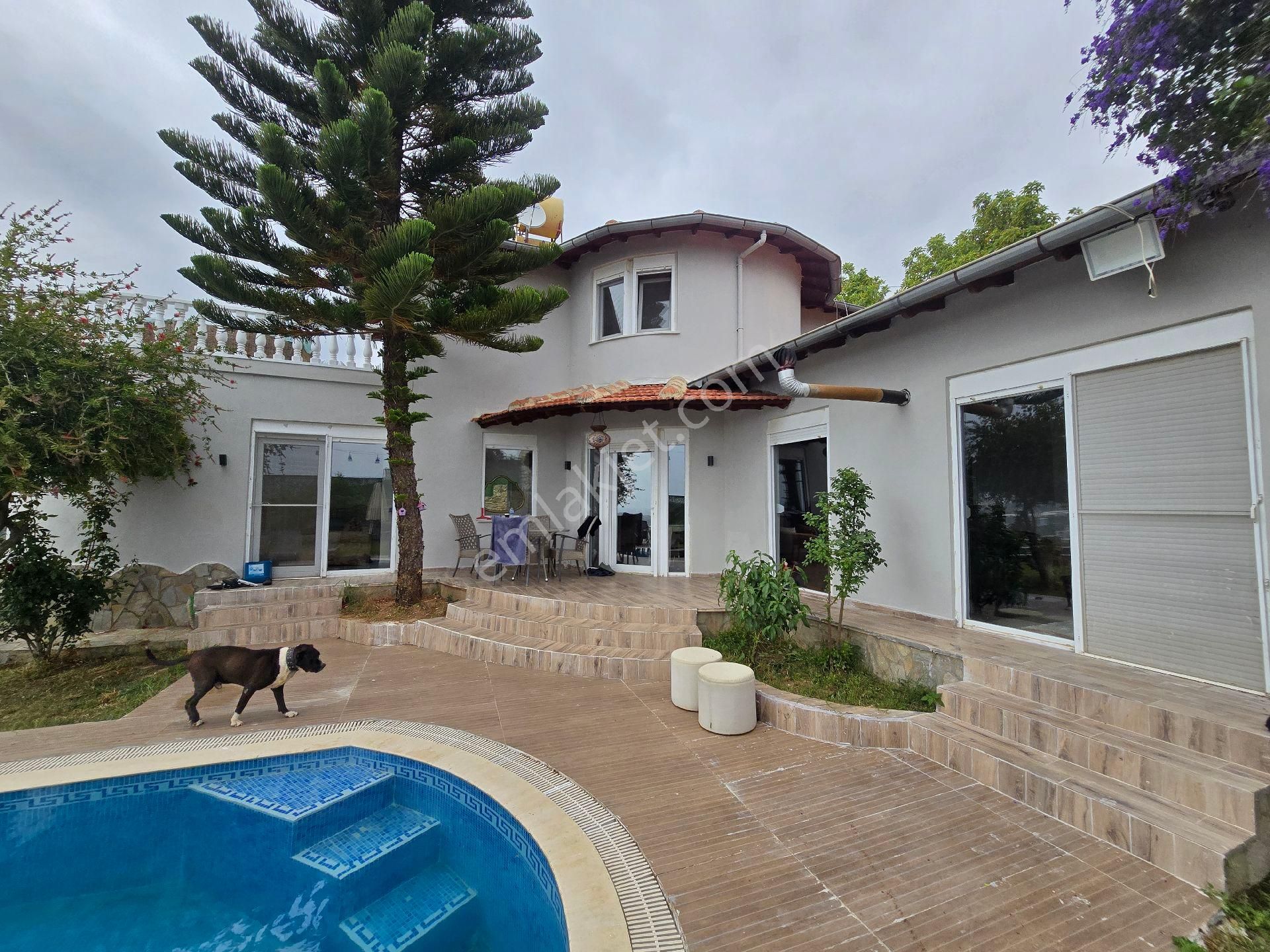 Günlük Haftalık Kiralık Havuzlu Villa - Görsel 31