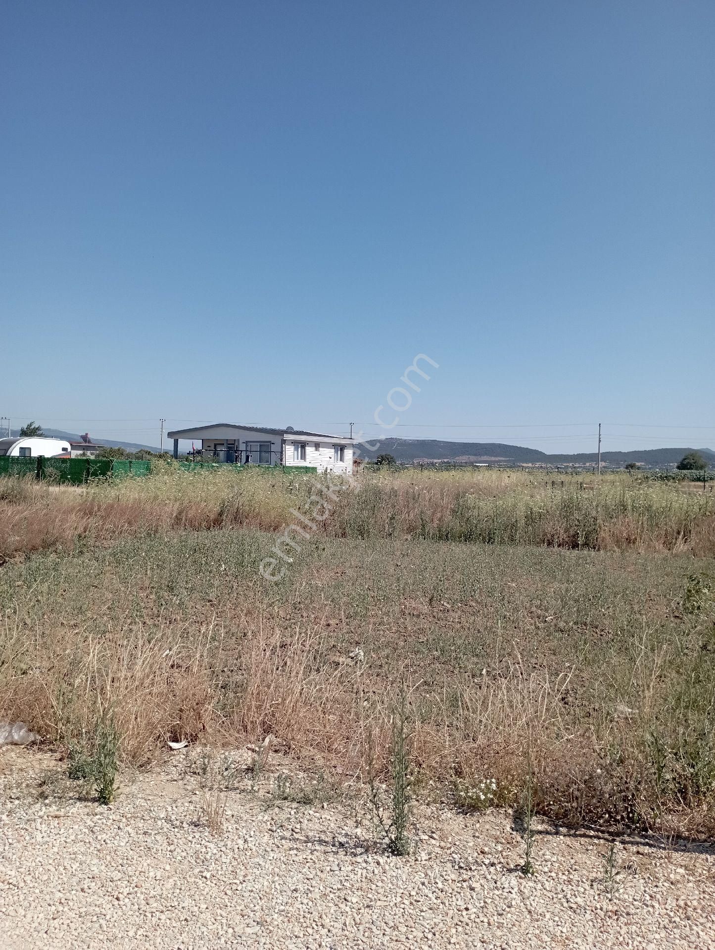 Menderes Tekelide Köy Merkezine Yakın Satılık Arsa - Görsel 3