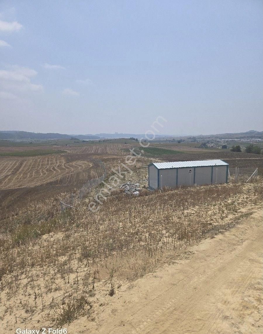 Hocallıda 536 M2 Hobi Bahçesi