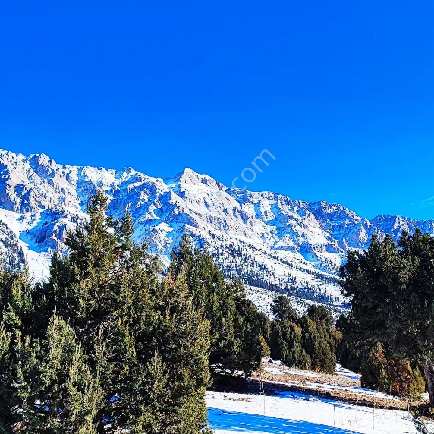 Pozantı Aşçıbekirli Fenese Mevkiinde Satılık Arsa - Görsel 2