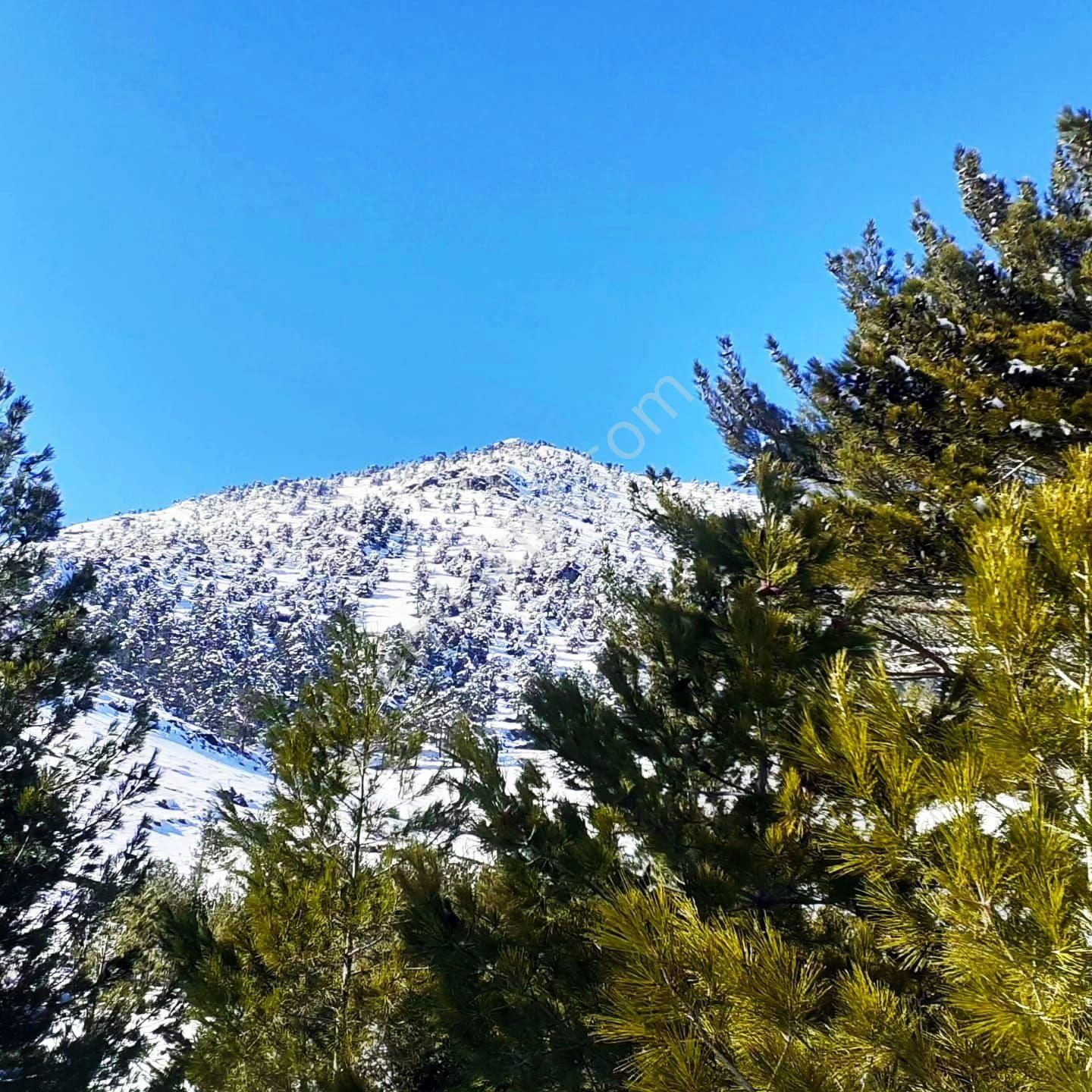 Pozantı Yeni Konacık Körimenlik Mevkiinde Satılık Arsa - Görsel 9