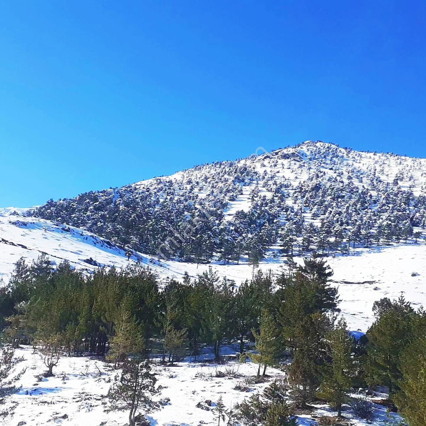 Pozantı Yeni Konacık Körimenlik Mevkiinde Satılık Arsa - Görsel 2