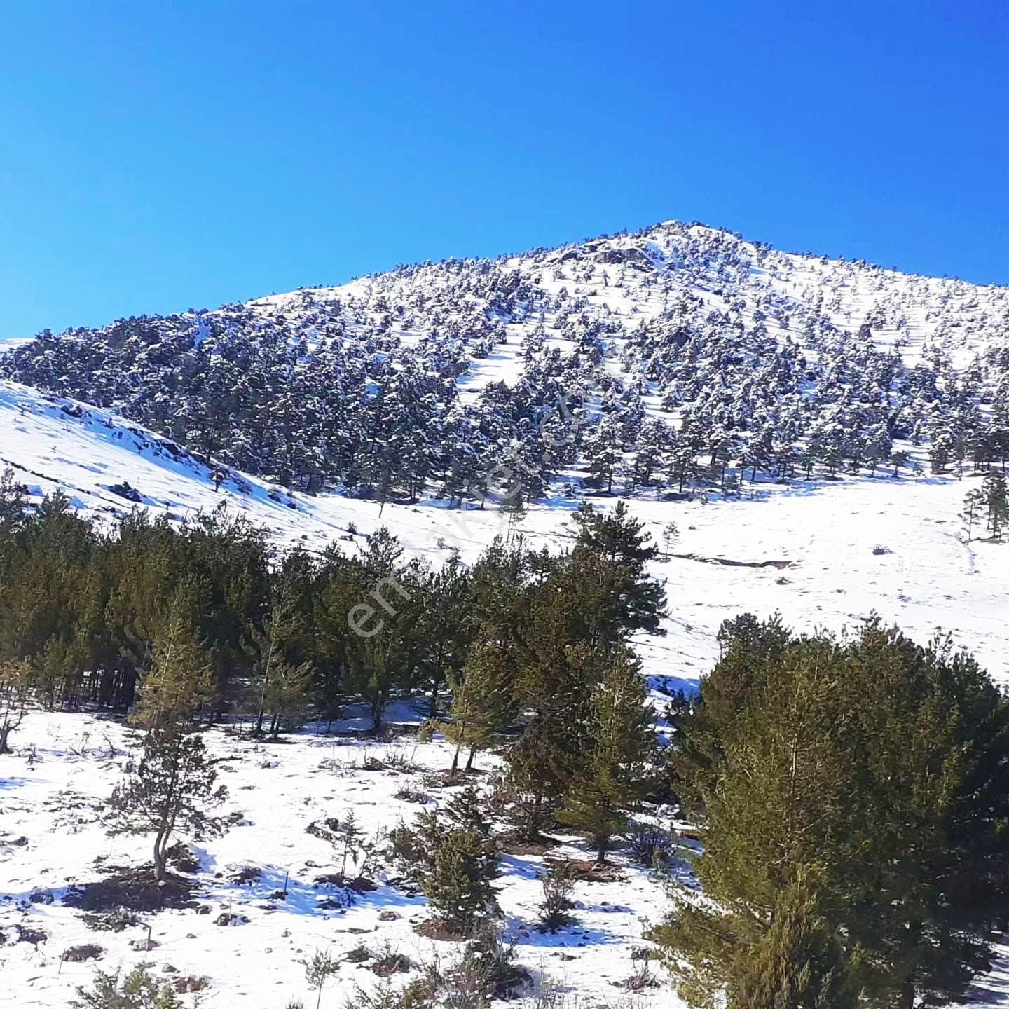 Pozantı Yeni Konacık Körimenlik Mevkiinde Satılık Arsa - Görsel 7