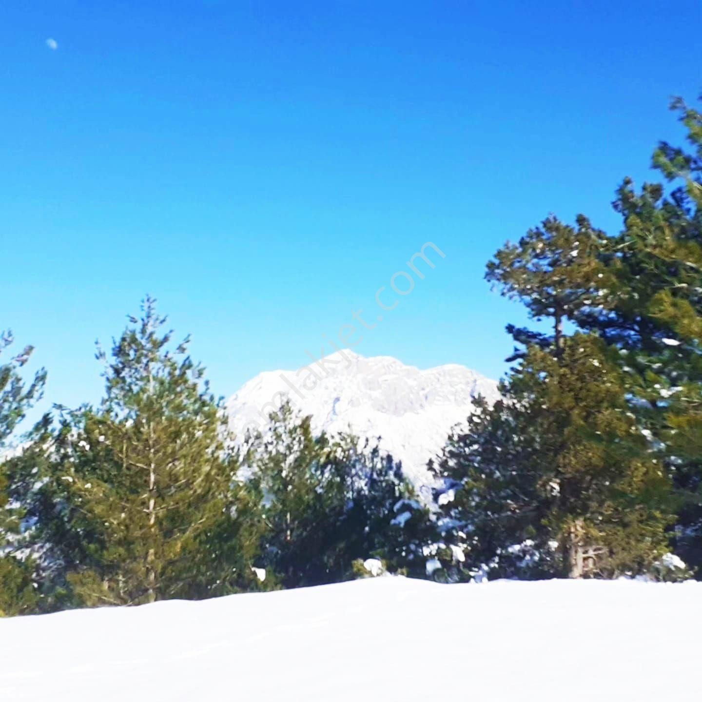 Pozantı Yeni Konacık Körimenlik Mevkiinde Satılık Arsa - Görsel 14