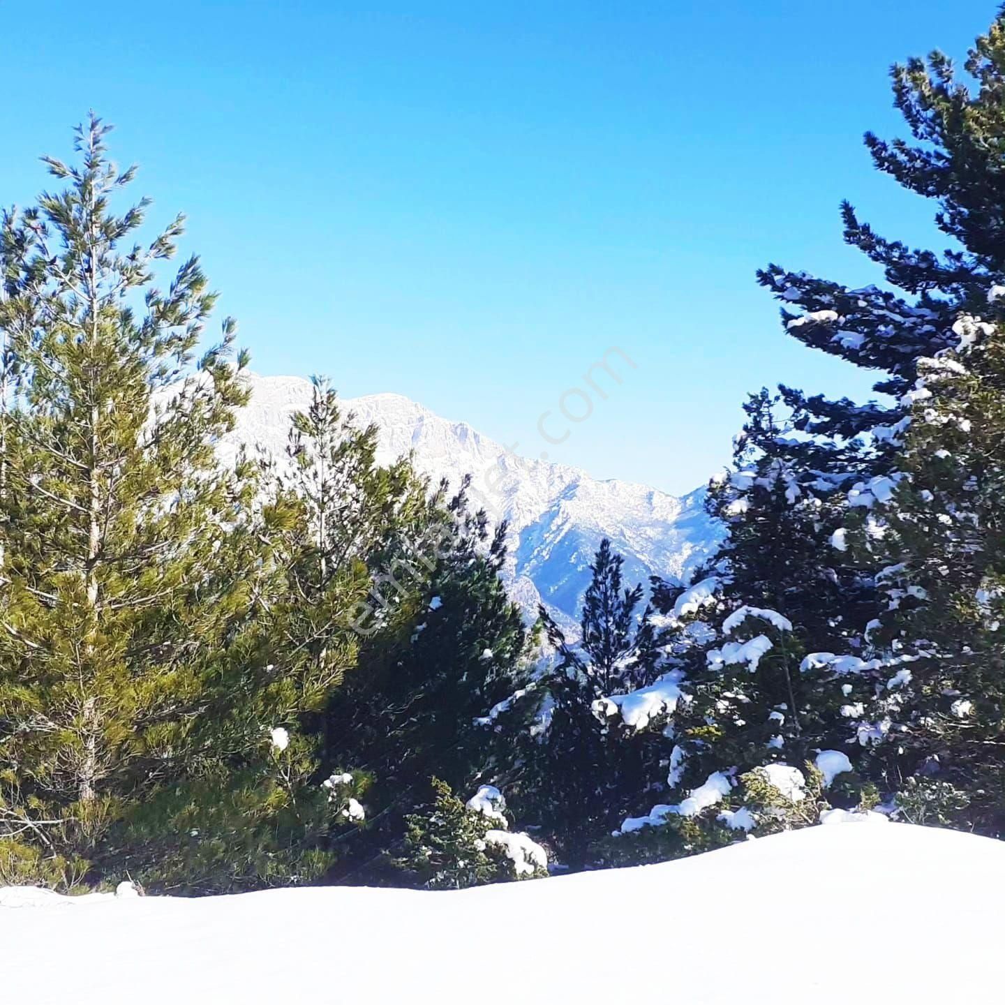 Pozantı Yeni Konacık Körimenlik Mevkiinde Satılık Arsa - Görsel 23