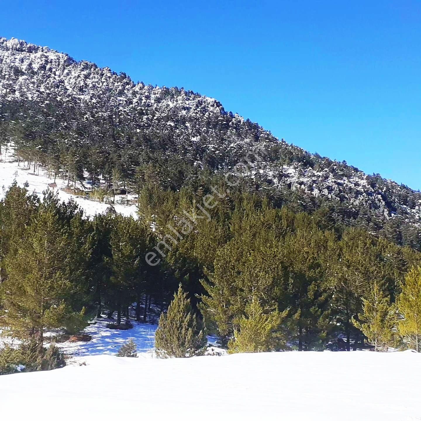 Pozantı Yeni Konacık Körimenlik Mevkiinde Satılık Arsa - Görsel 8