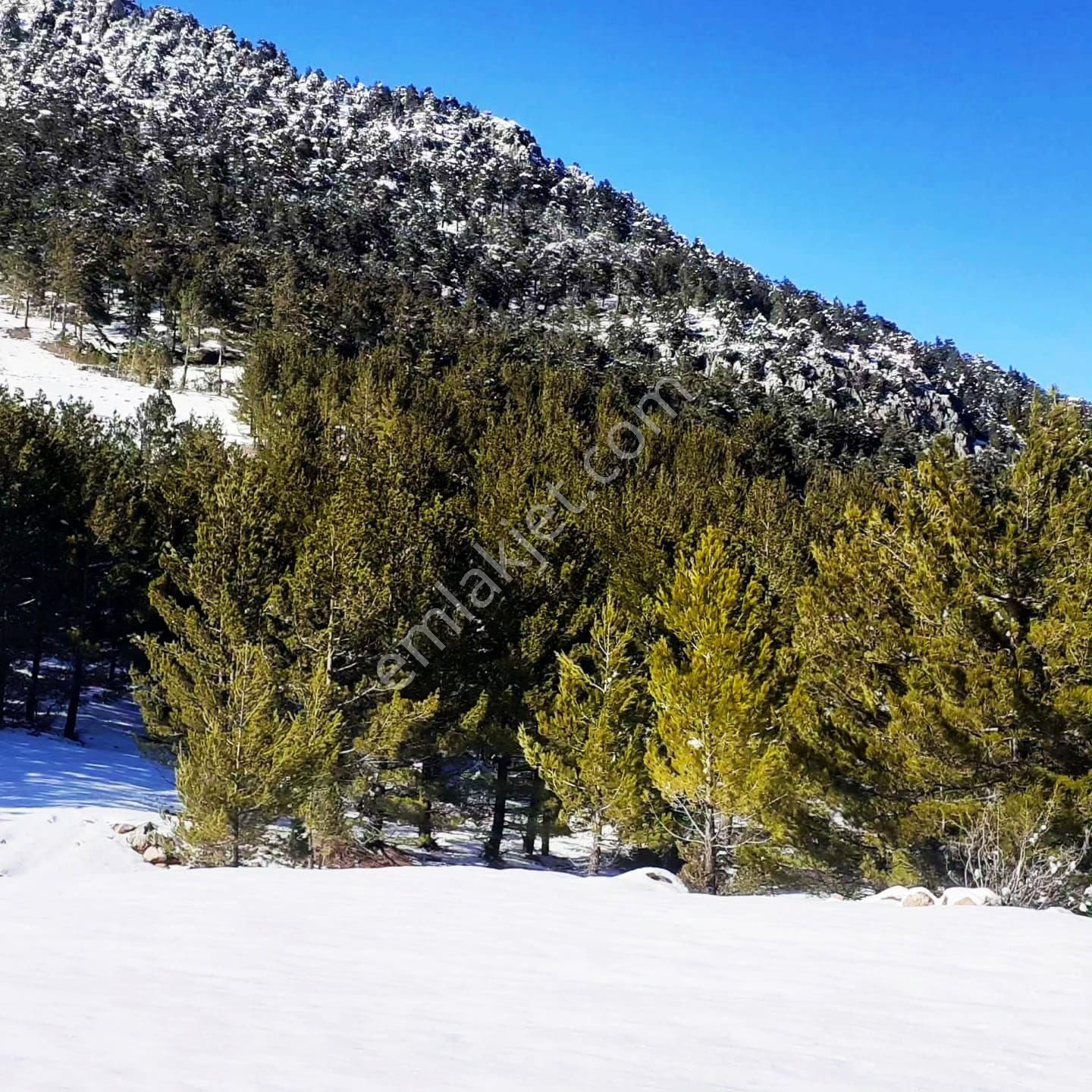 Pozantı Yeni Konacık Körimenlik Mevkiinde Satılık Arsa - Görsel 21